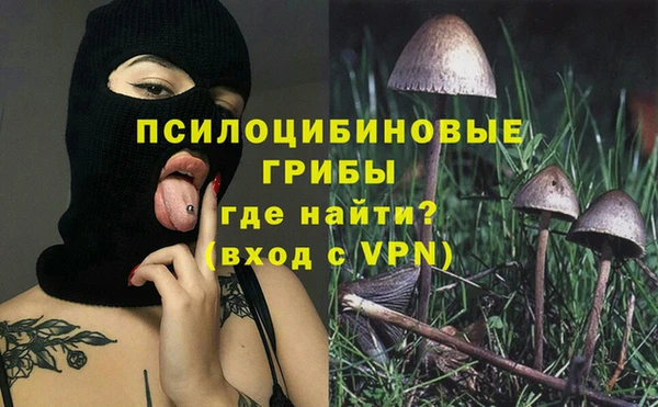 соль ск Абдулино