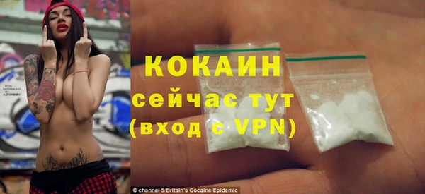 винт Абаза