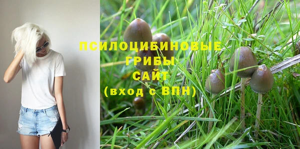 соль ск Абдулино