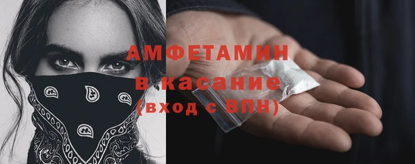 винт Абаза