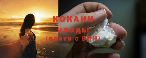 винт Абаза