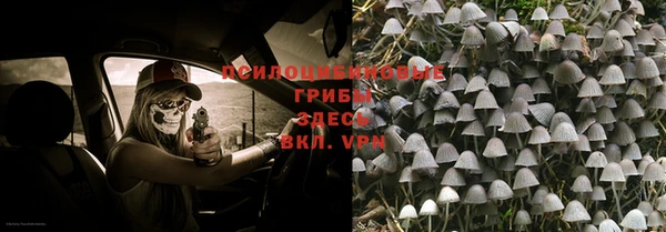 соль ск Абдулино