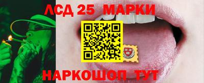 стафф Моздок