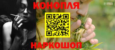 стафф Моздок