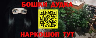 стафф Моздок