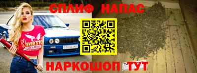 стафф Моздок