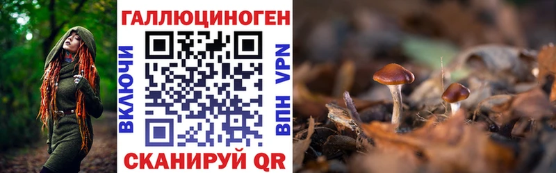 Псилоцибиновые грибы Cubensis  Волоколамск 